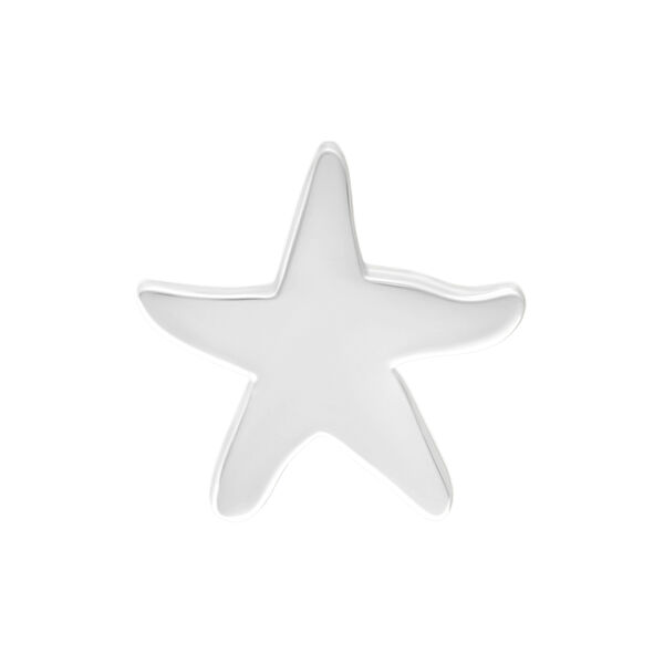 Push Fit Starfish Attachment for Bioplast - Silvercoloured Metal