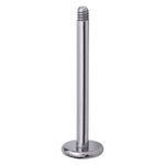 Labret in titanio argento con filettatura esterna su sfondo bianco