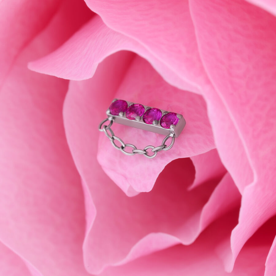 Ajuste de plata con cuatro cristales rojos y cadena sobre pétalos rosados
