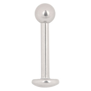 Titan Labret Stud mit Außengewinde, Weißgold Weißgoldenes Titan Labret Piercing mit Kugel auf weißem Hintergrund