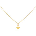 Goldene Kette mit kleinem Seestern-Anhänger, Studiohintergrund
