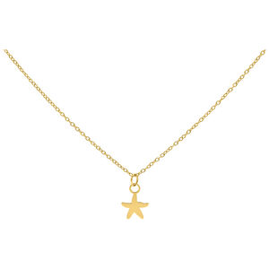Goldene Kette mit kleinem Seestern-Anhänger, Studiohintergrund
