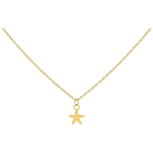 Collana dorata con piccolo ciondolo a forma di stella marina, sfondo studio