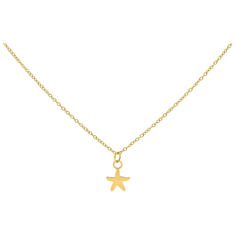 Cadena dorada con colgante de estrella de mar pequeña, fondo de estudio