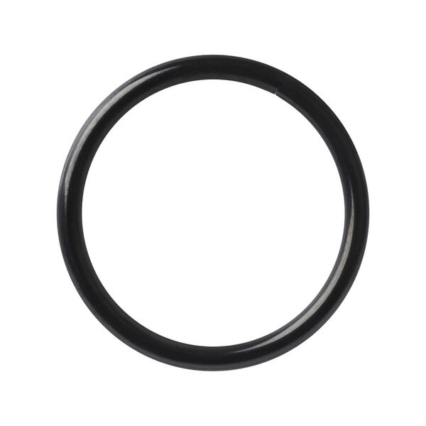 Anillo de piercing negro, sin costuras, de acero quirúrgico sobre fondo blanco