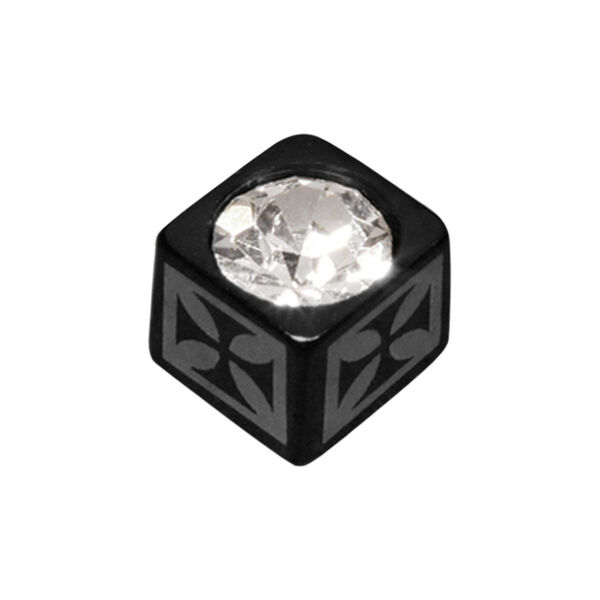Accesorio de cubo negro con cristal claro sobre fondo blanco