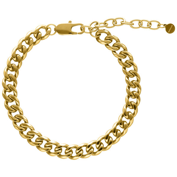 Flat Curb Ankle Chain - Golden Metal