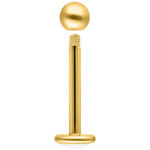 Labret dorado de titanio con rosca externa sobre fondo blanco