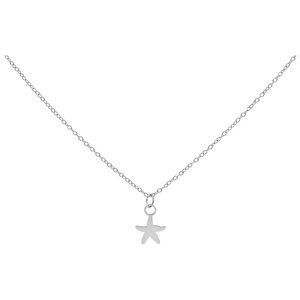 Silberne Kette mit kleinem Seestern-Anhänger auf weißem Hintergrund