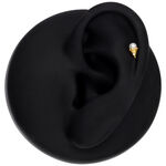 Ajuste Push Dorado colocado en modelo de oreja negra