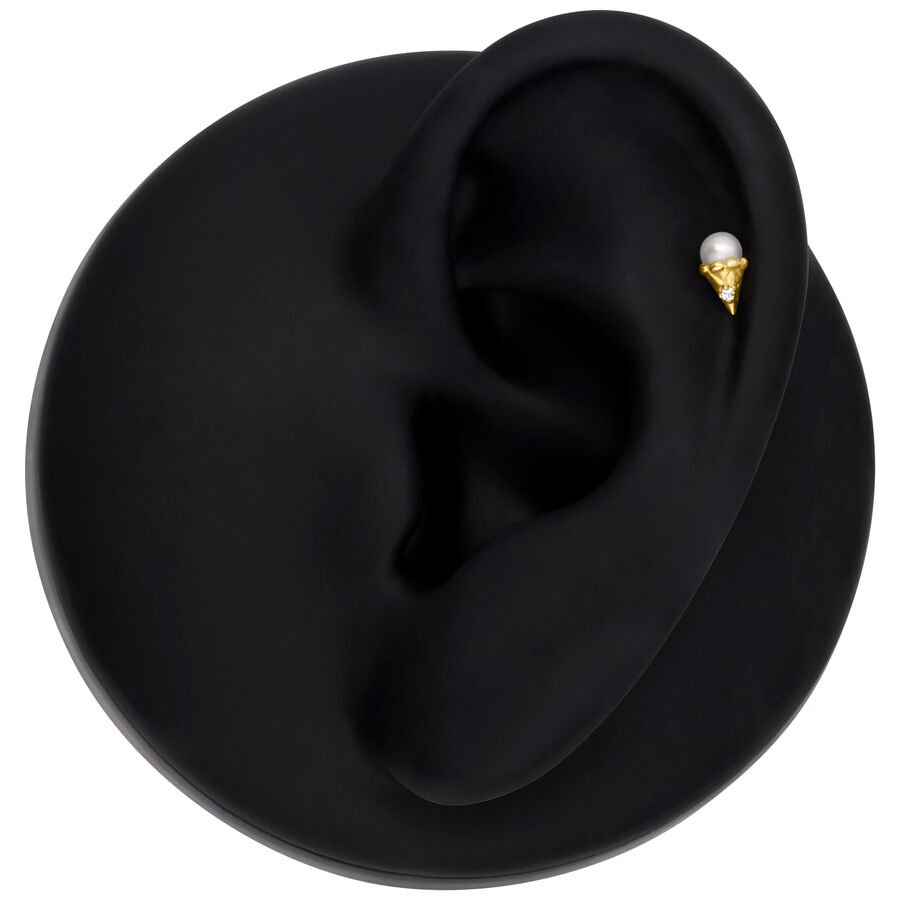 Ajuste Push Dorado colocado en modelo de oreja negra
