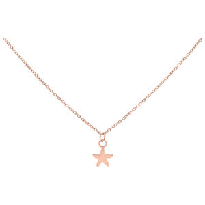 Roségoldene Kette mit einem kleinen Seestern-Anhänger auf weißem Hintergrund