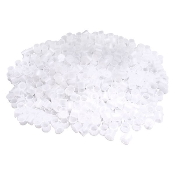 Ink Caps bianchi in grande quantità su sfondo bianco