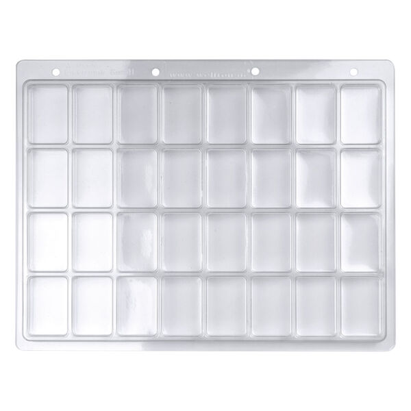 Blister Pack trasparente con 32 camere su sfondo bianco