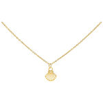 Collana d'oro con ciondolo a forma di conchiglia su sfondo bianco