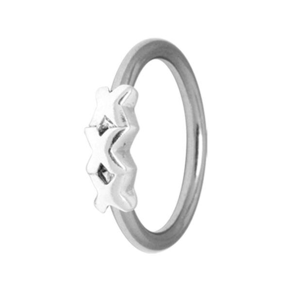 Silberner Triple X Ring aus Chirurgenstahl 316L auf weißem Hintergrund
