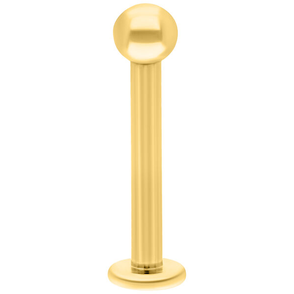 Labret de titan dorado con rosca interna sobre fondo blanco, longitud de 8mm