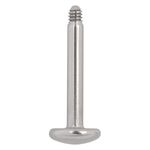 Labret in titanio argento senza sfera su sfondo bianco