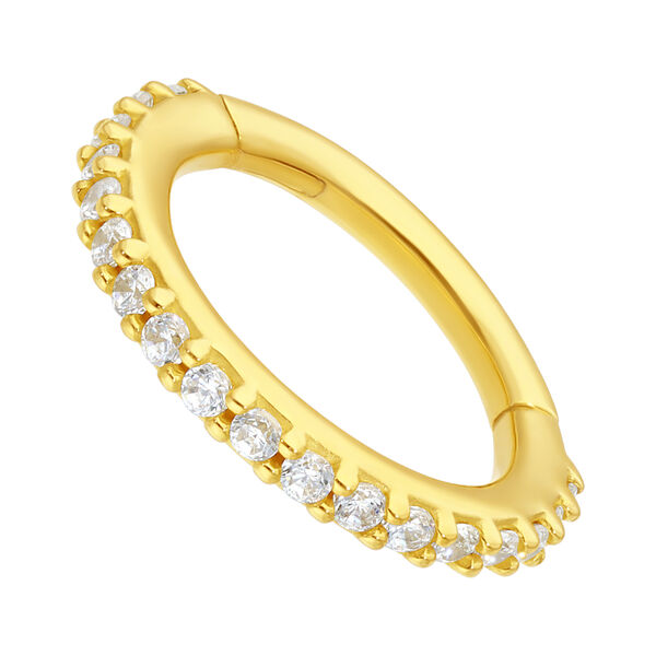 18k Pave Set Ring <!--5d4142fee31c1-->