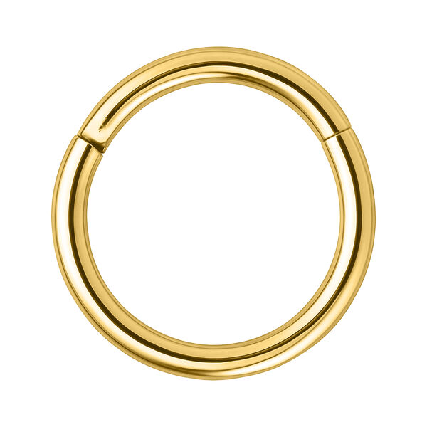 Goldener Segmentring aus Chirurgenstahl mit 4,0 mm Stärke und 14,0 mm Innendurchmesser auf weißem Hintergrund