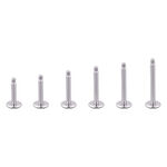 Sei Labret in titanio argento con filettatura esterna su sfondo bianco