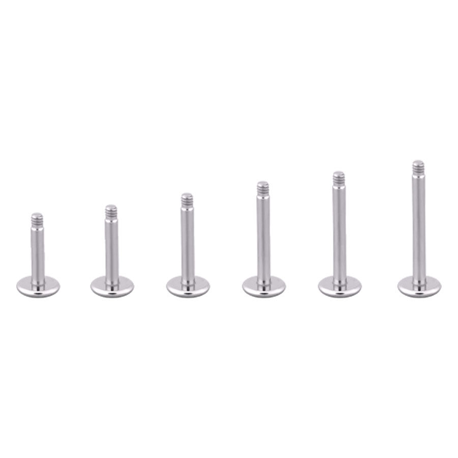 Sei Labret in titanio argento con filettatura esterna su sfondo bianco