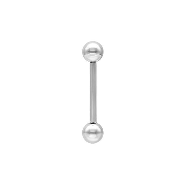 Barbell básico plateado de titanio con dos bolas sobre fondo blanco