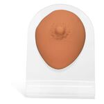 Capezzolo in silicone beige su display trasparente, unisex