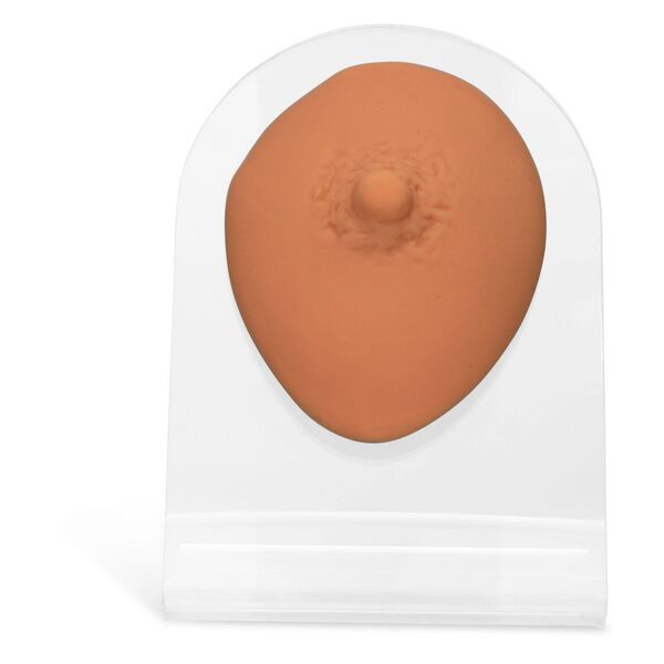 Capezzolo in silicone beige su display trasparente, unisex