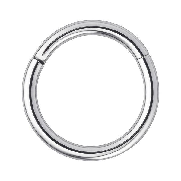 Hinged Segment Ring in Acciaio