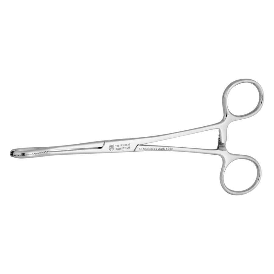 Pinzetta Open End Sponge d'argento di Wildcat, diametro interno di 6 mm, su sfondo bianco