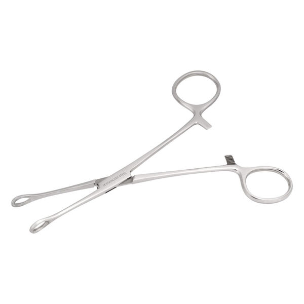 Pinza in acciaio inox argentata e curva su sfondo bianco