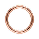 Segmento ad anello in oro rosa con diametro di 10mm su sfondo bianco