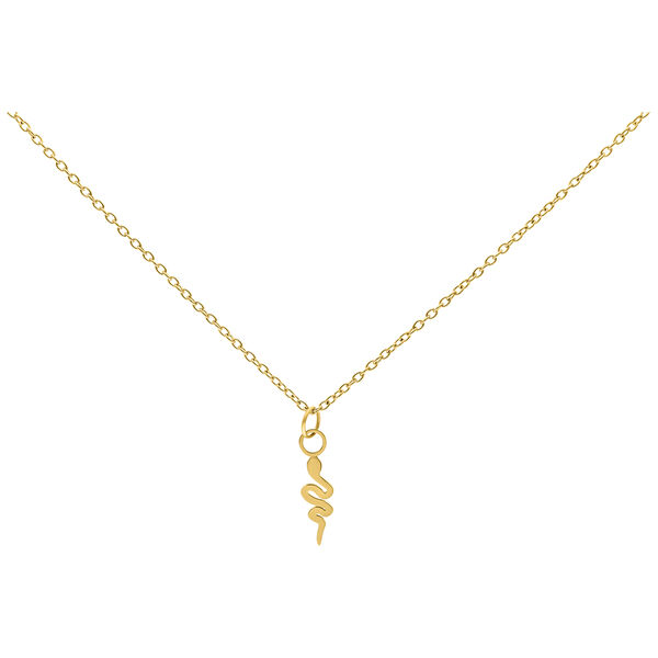 Collana dorata con ciondolo a forma di serpente su sfondo bianco