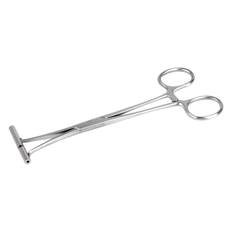 Pinza per septum in acciaio inox argentata su sfondo bianco