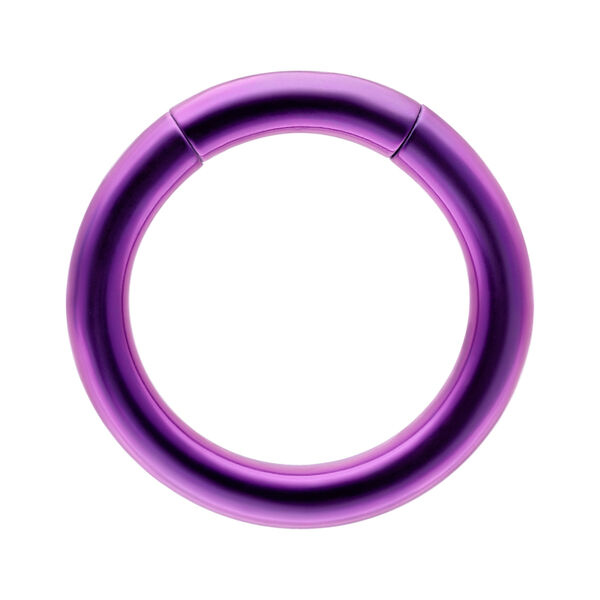 Violetter Segmentring aus Titan mit 1,2 mm Stärke und 8,0 mm Durchmesser auf weißem Hintergrund