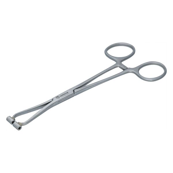 Pinza per setto in acciaio chirurgico argentato su sfondo bianco