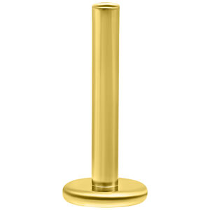Wildcat® - Labret Perfect Fit 14K
