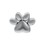 Accessorio a forma di zampa in titanio argento su sfondo bianco