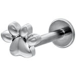 Labret de oro blanco con motivo de pata y cierre push-fit sobre fondo blanco