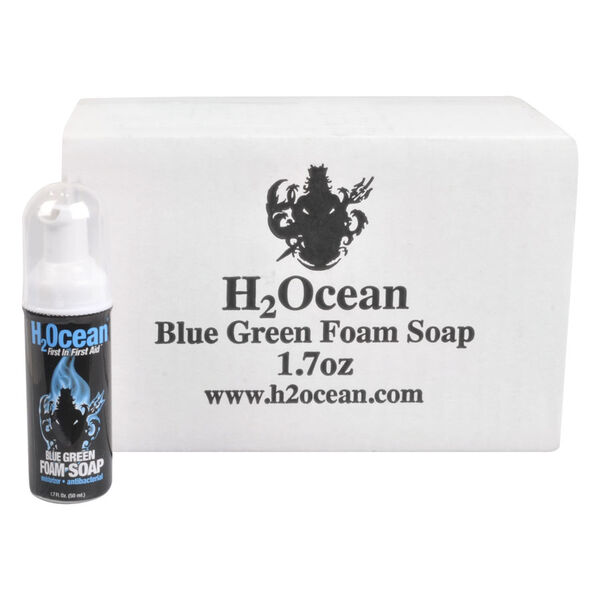 Blue Green Foam Soap Box/24<!--5c615a852ccc6-->