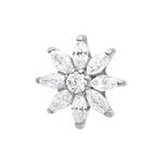 Cristallo Fiore di Ghiaccio in argento con cristalli chiari su sfondo bianco
