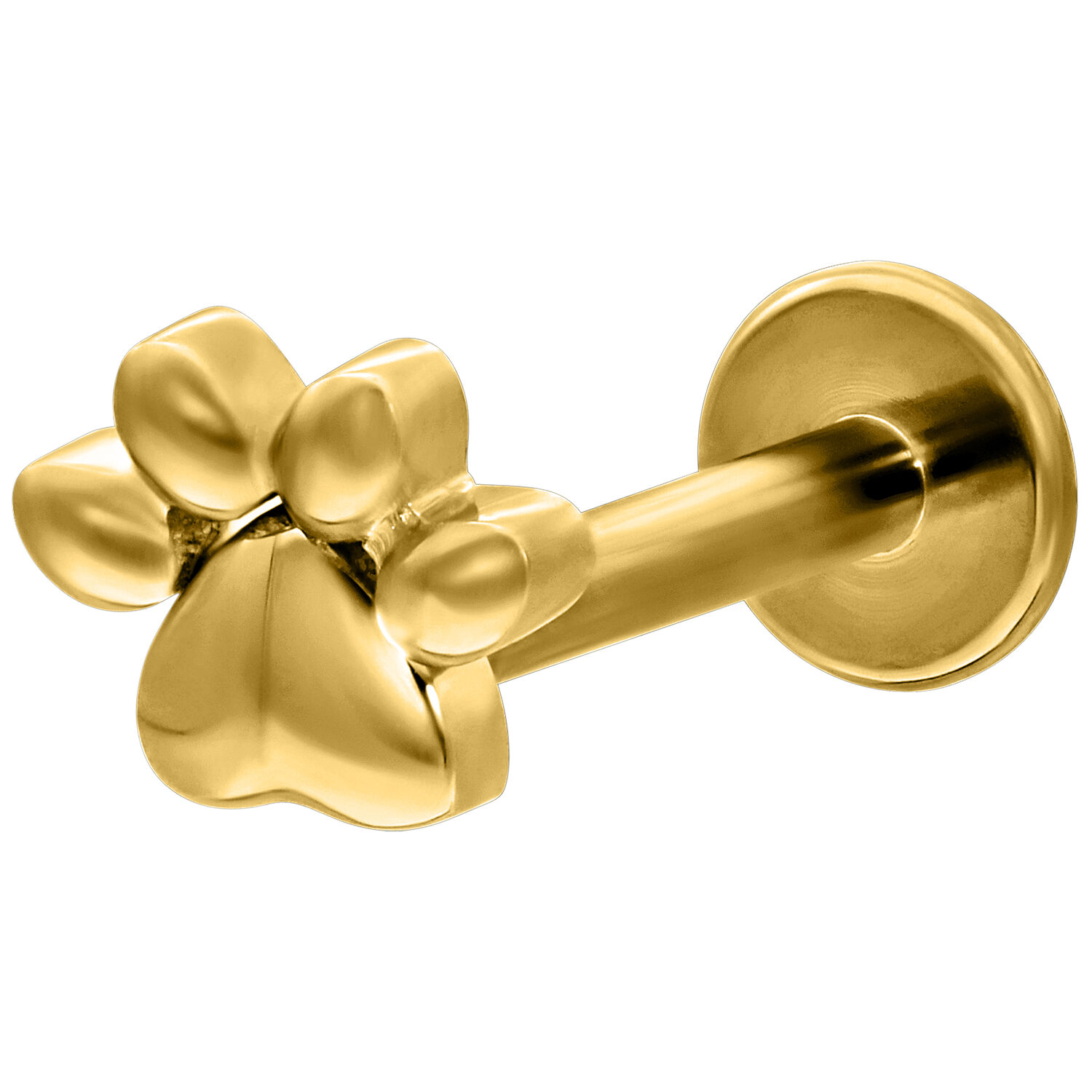 Goldenes Little Paw Push-Fit Labret 6mm Goldenes Labret mit Pfotenmotiv auf weißem Hintergrund, 6mm Länge