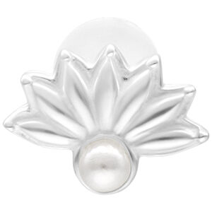 Silbernes Pearl Peacock Labret 5,0 mm Silbernes Labret mit Pfauenmuster und Perlenaufsatz auf weißem Hintergrund