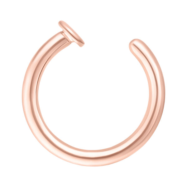 Open Nose Ring<!--5c615ac8180b7-->