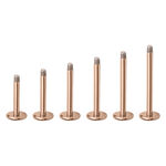 Sei micro labret in oro rosa in titanio su sfondo bianco