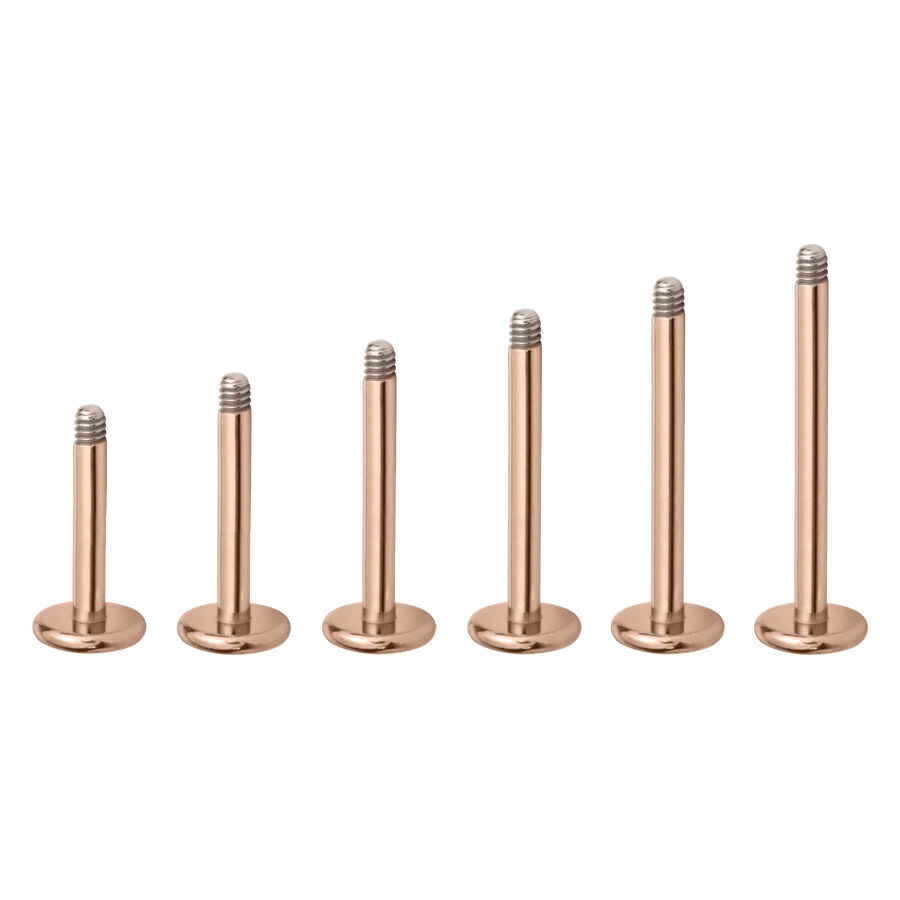 Sei micro labret in oro rosa in titanio su sfondo bianco