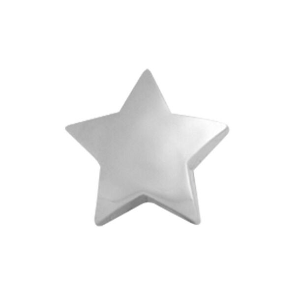 Accesorio de estrella de titanio plateado sobre fondo blanco