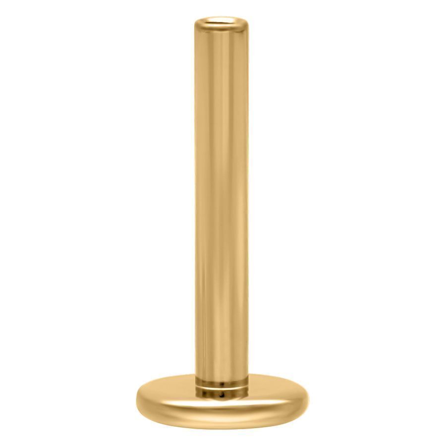 Goldenes Titan Labret Stem mit Innengewinde, 1,2 mm Stärke, 5 mm Länge auf weißem Hintergrund