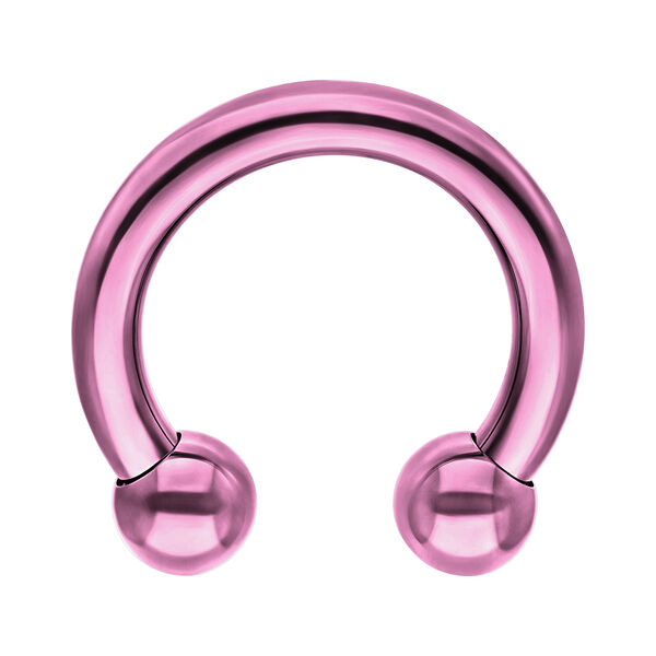 Barbell circular violeta de titanio con dos bolas sobre fondo blanco